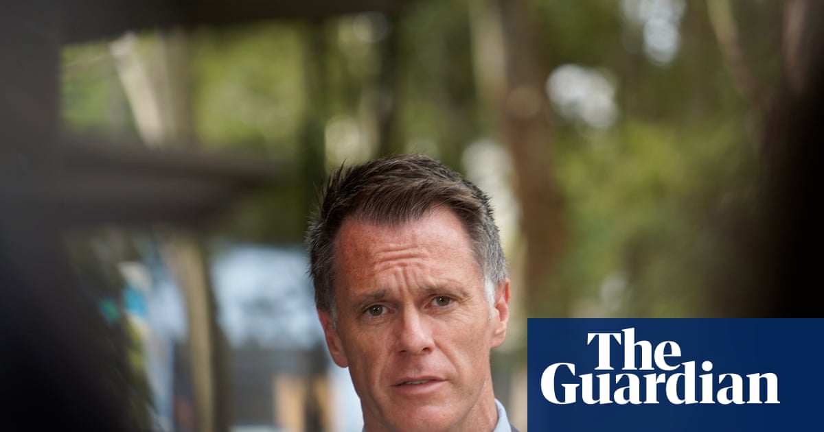 NSW Labor Accused of Rushing Inquiry into Banning Phrases Including 'Globalise the Intifada' image from theguardian.com