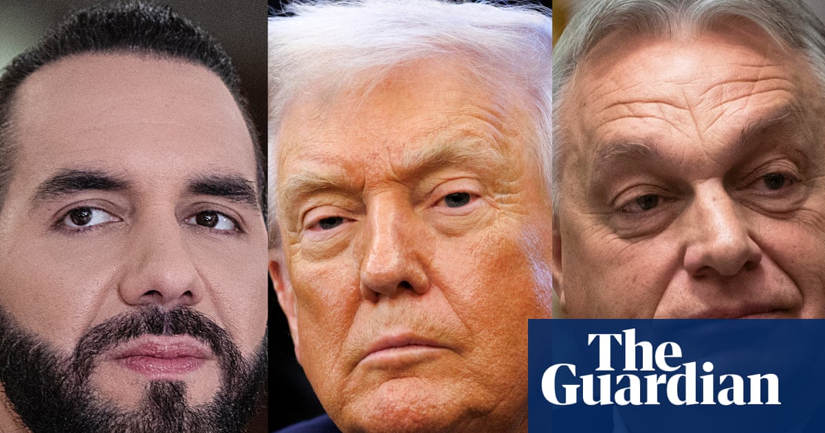 Experts from Hungary, El Salvador, and Turkey Share Lessons on Authoritarianism and Implications for US Politics image from theguardian.com