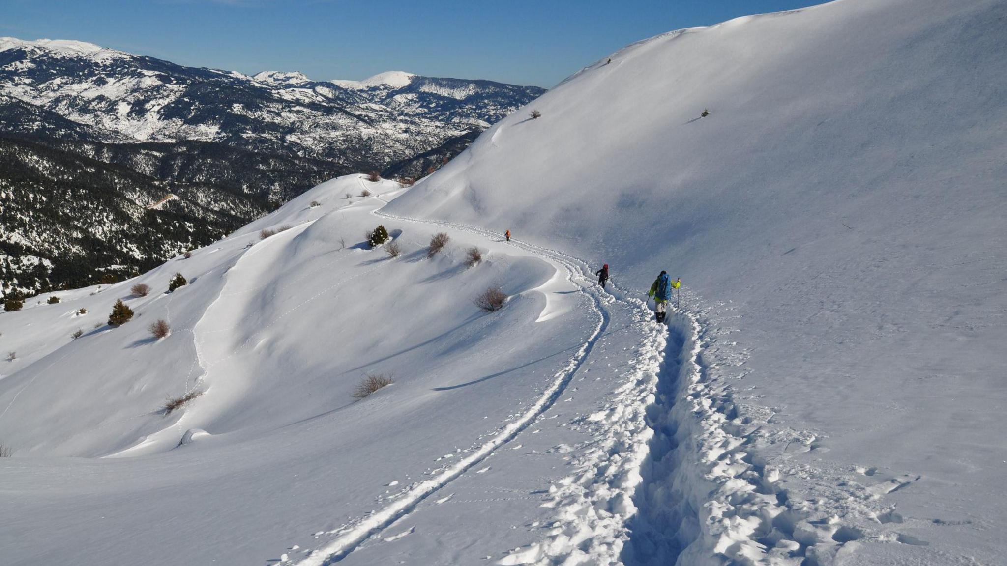 Four Hikers Die in Avalanche in Greece’s Vardousia Mountains image from bbc.co.uk