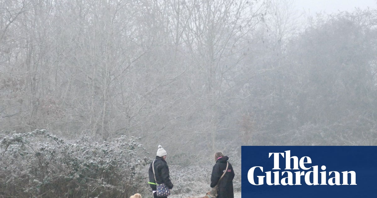 UK Faces Snow and Cold Weather Alerts Over New Year Amid NHS Pressure image from theguardian.com