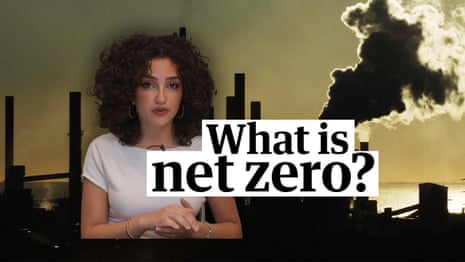 What Does Net Zero Emissions Actually Mean, and Is It Different from the Paris Agreement? image from theguardian.com