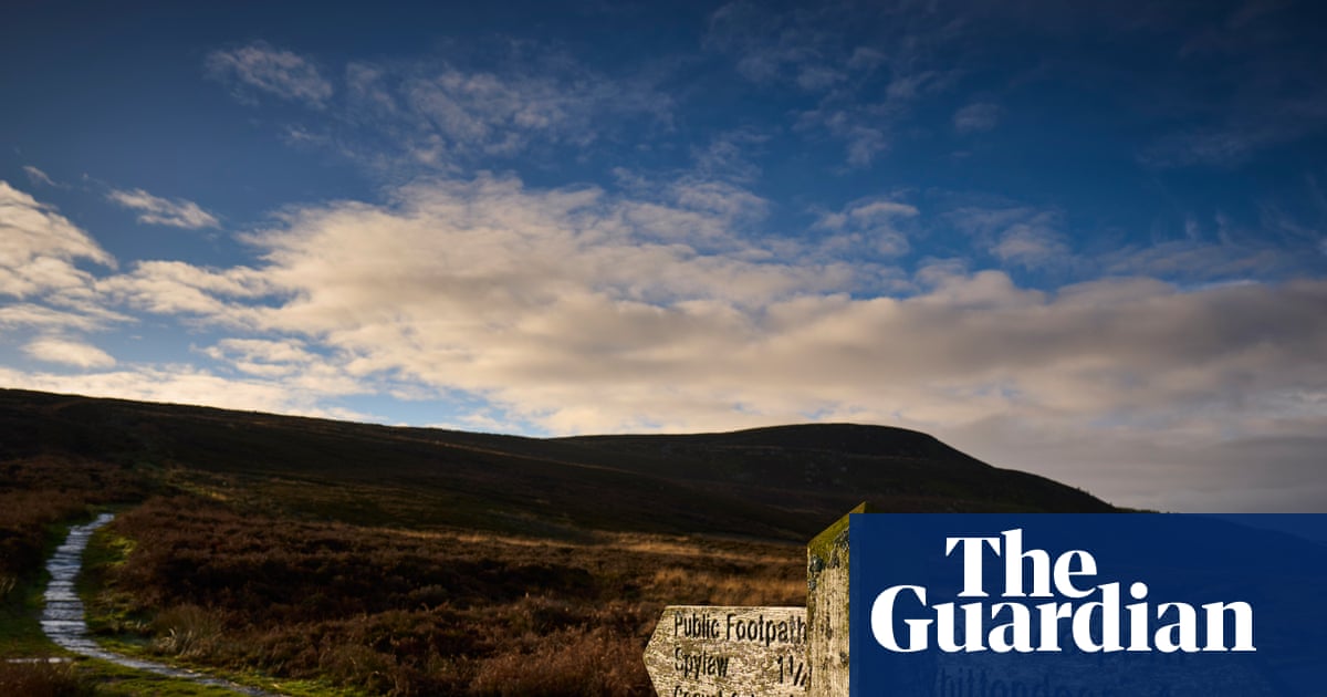 Northumberland Nature Recovery Project Advances with Largest Land Sale in England in Over 30 Years image from theguardian.com