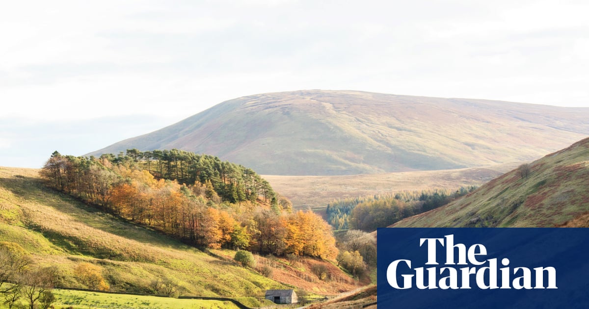 2025 Likely to Be UK's Hottest Year on Record, Met Office Says image from theguardian.com