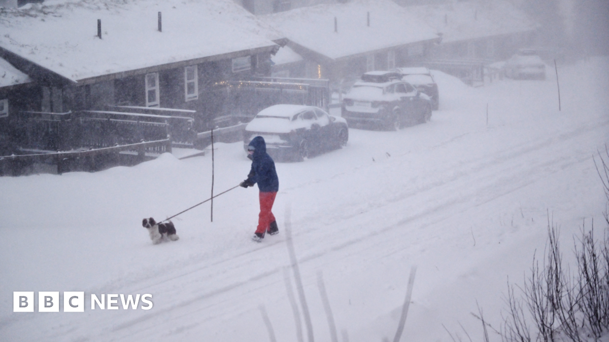 Storm Johannes Causes Fatalities and Disruptions Across Nordic Countries image from bbc.co.uk