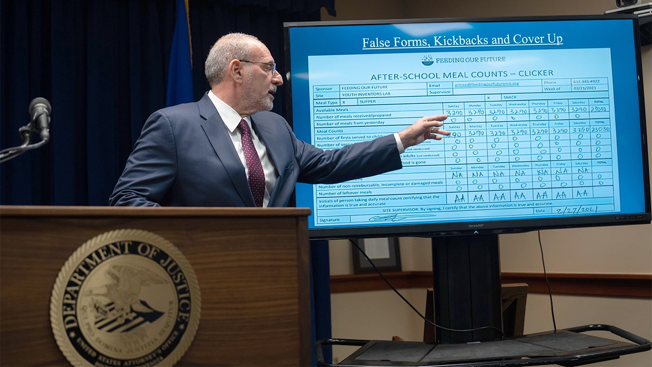 Surveillance Reveals Parents' Role in Minnesota Daycare Fraud Scheme image from foxnews.com