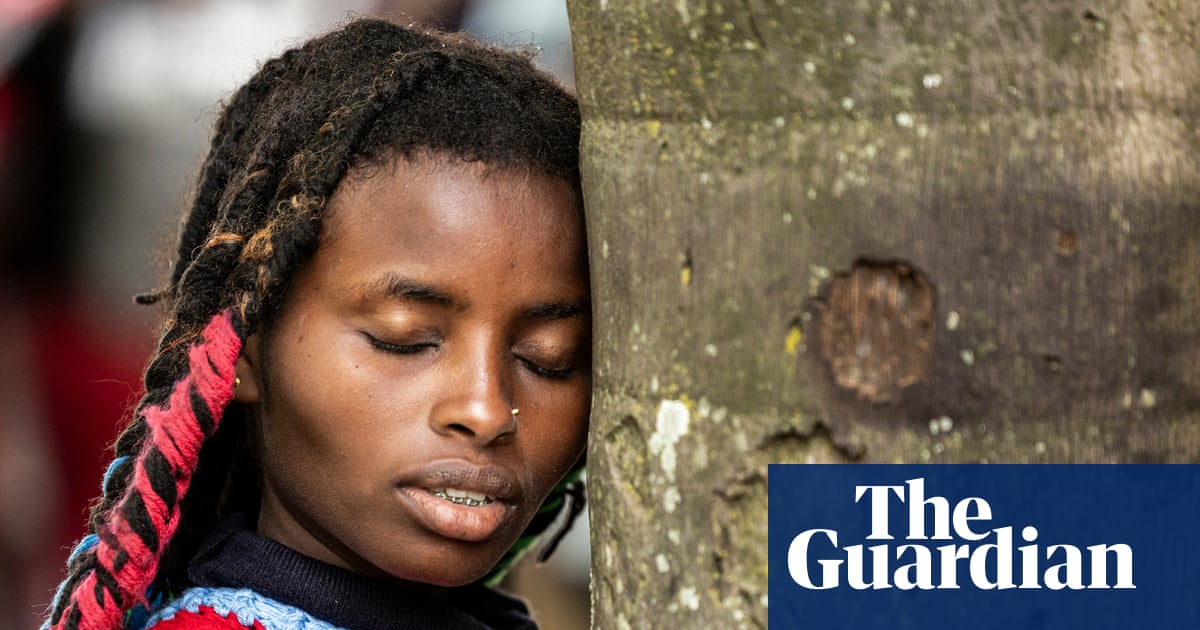 EU Deforestation Regulation Significantly Weakened Amid Industry and Political Pressure image from theguardian.com