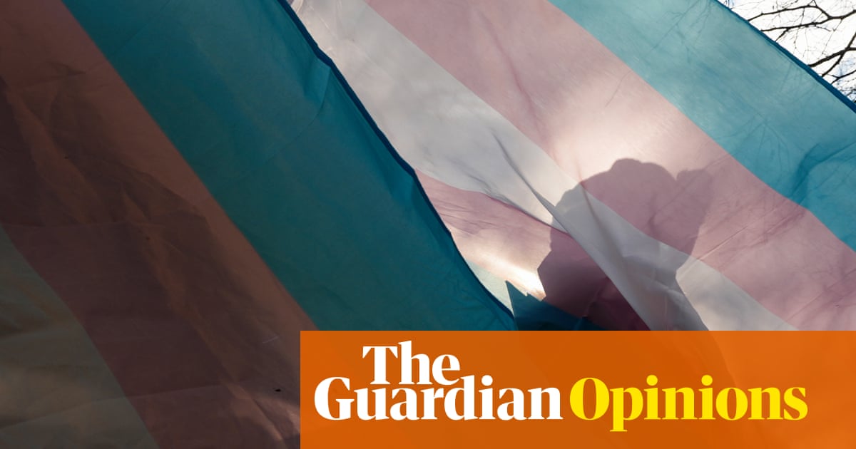 Trump Administration's Policies Target Transgender Healthcare and Recognition image from theguardian.com