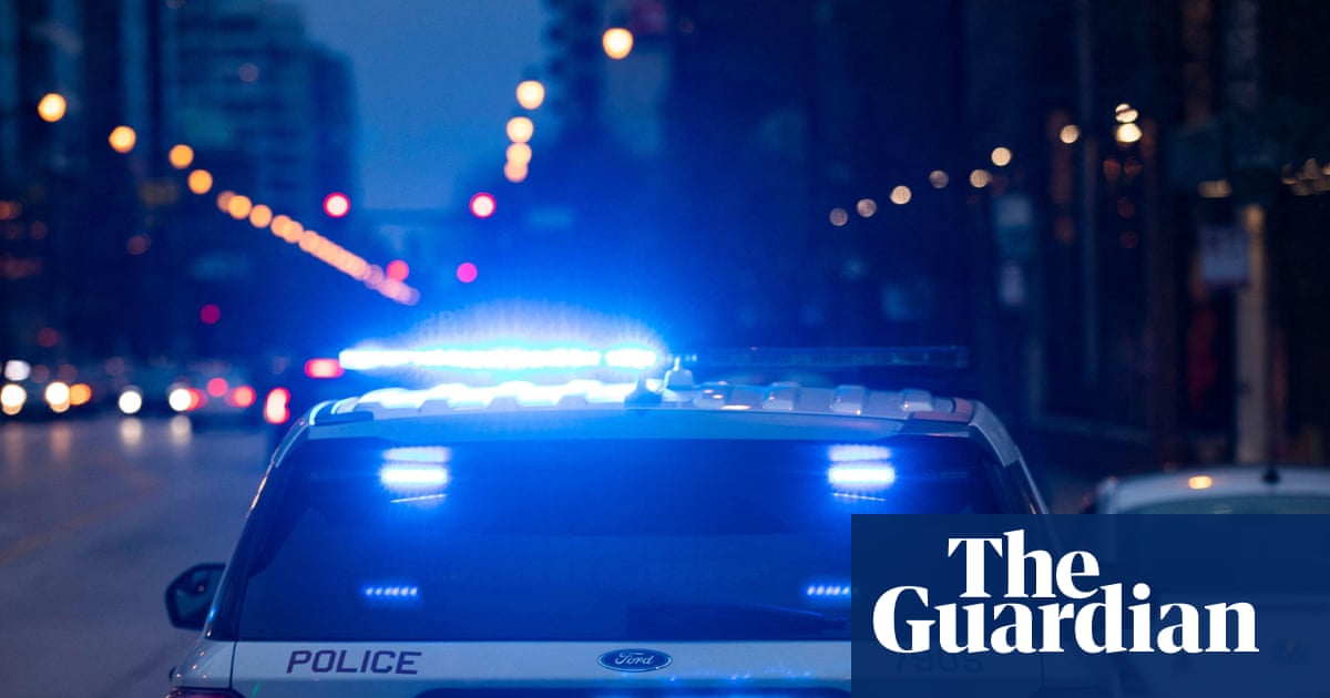 Woman Arrested After TikTok Livestream Suggests Hit-and-Run Pedestrian Death in Zion, Illinois image from theguardian.com