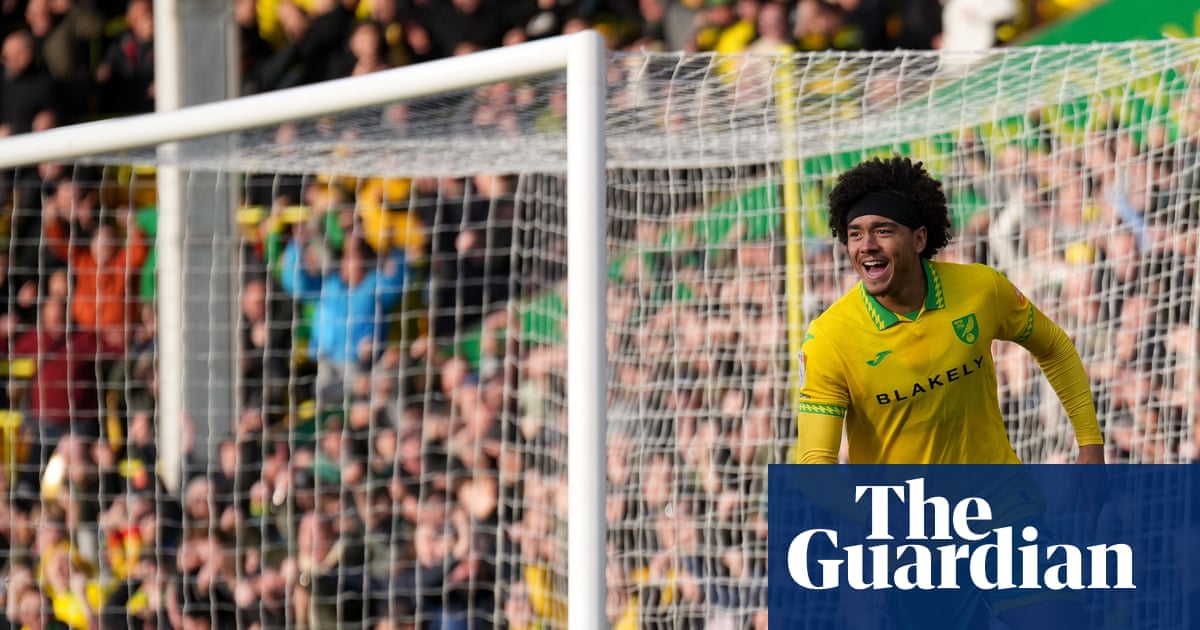 Championship Roundup: Norwich, Preston, Stoke, and West Brom Secure Wins image from theguardian.com