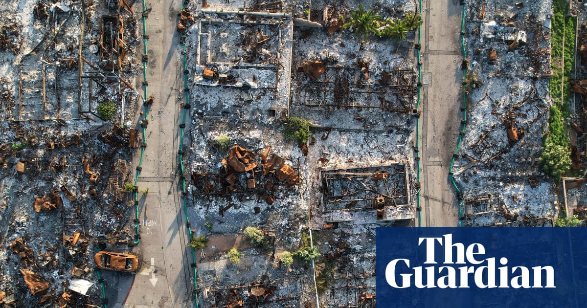 Challenges and Progress in Rebuilding After the Pacific Palisades Wildfire image from theguardian.com