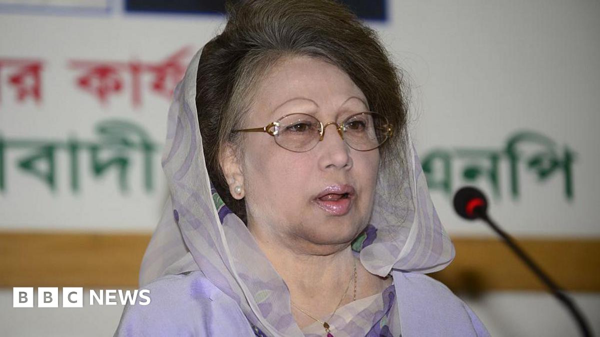 Khaleda Zia: Bangladesh's Former Prime Minister and Political Leader image from bbc.co.uk