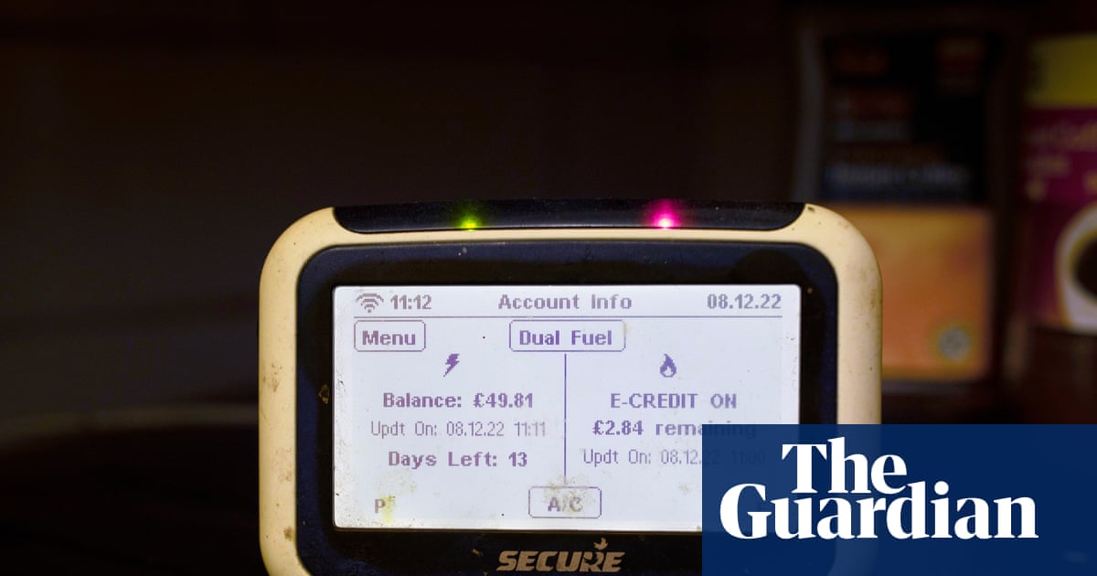 Energy Sector Challenges: Customer Complaints and Ovo Energy's Financial Struggles image from theguardian.com