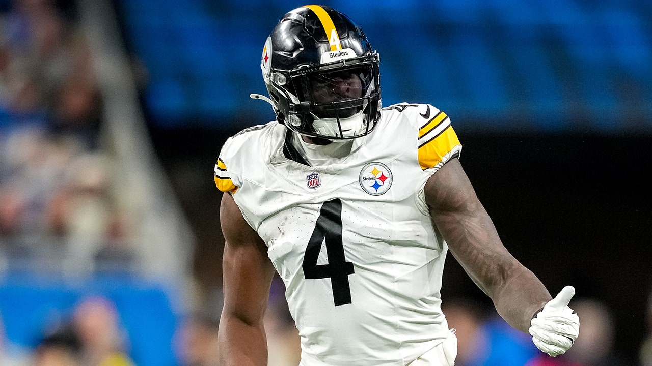 NFL Suspends Steelers Wide Receiver DK Metcalf for Two Games Following Altercation with Lions Fan image from foxnews.com