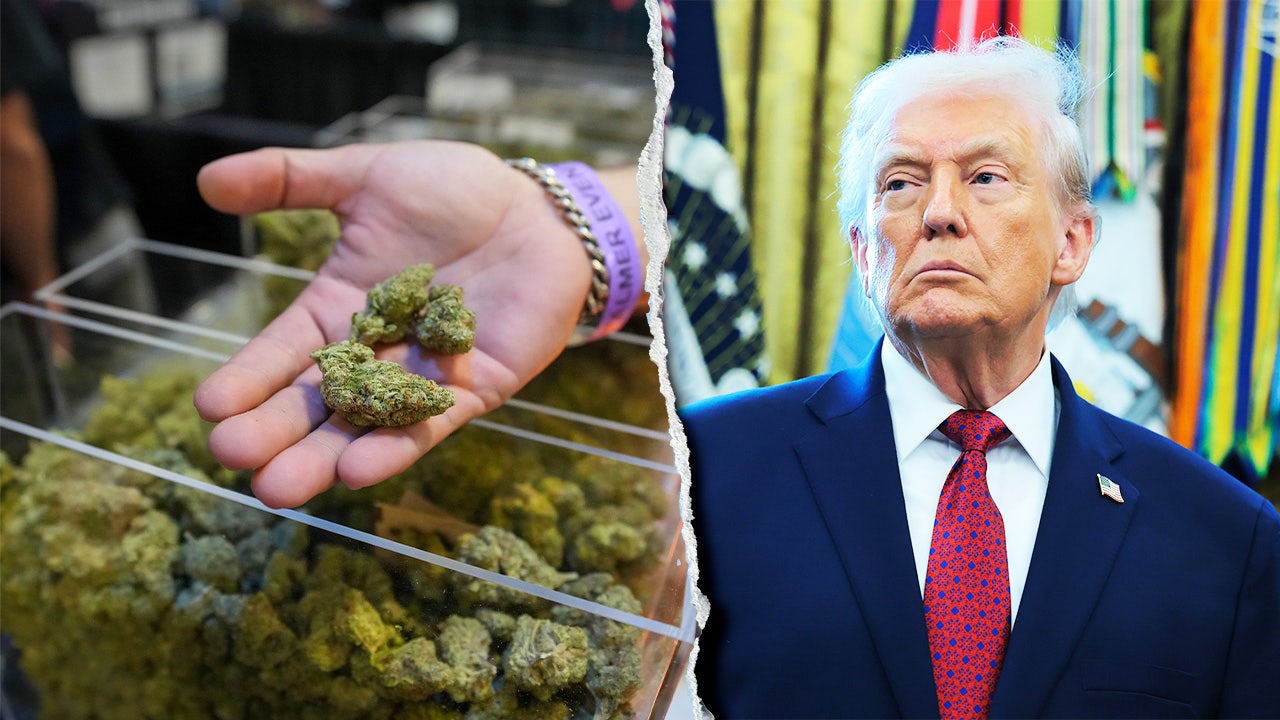House Republicans Urge Trump to Maintain Marijuana as Schedule I Drug image from foxnews.com