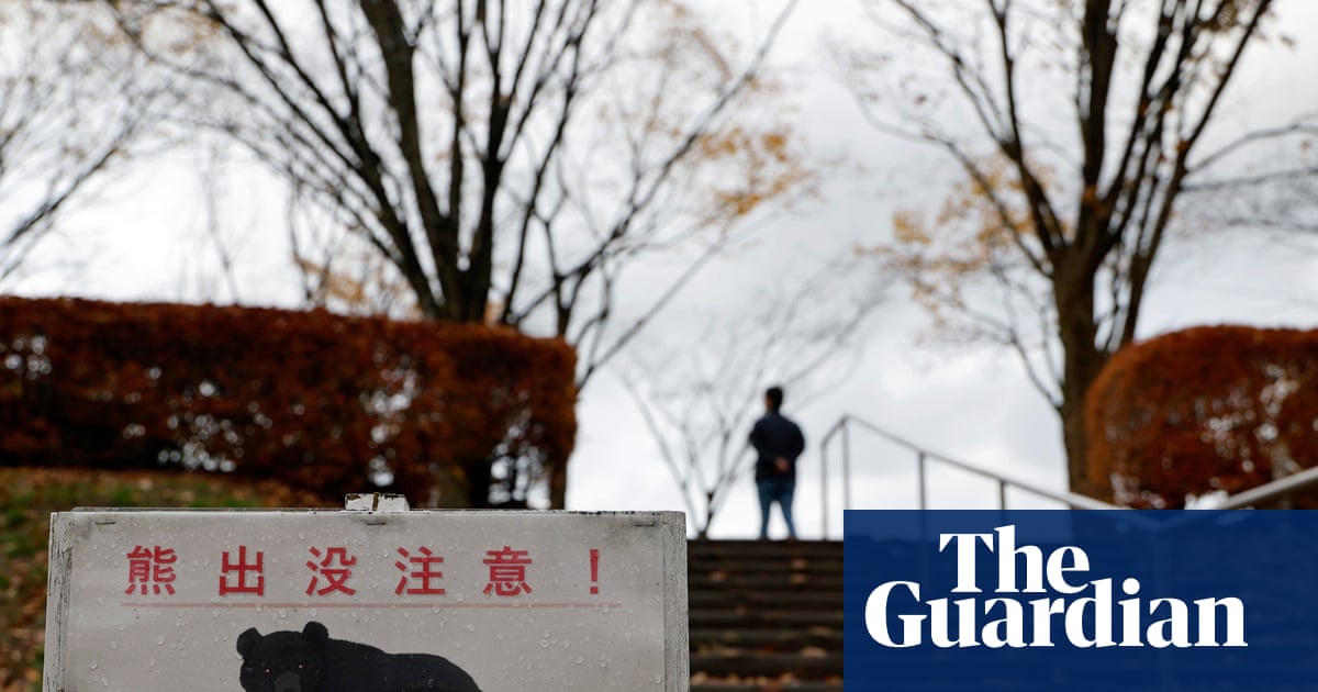 Osaki, Japan, Experiences Record Surge in Bear Encounters in 2025 image from theguardian.com