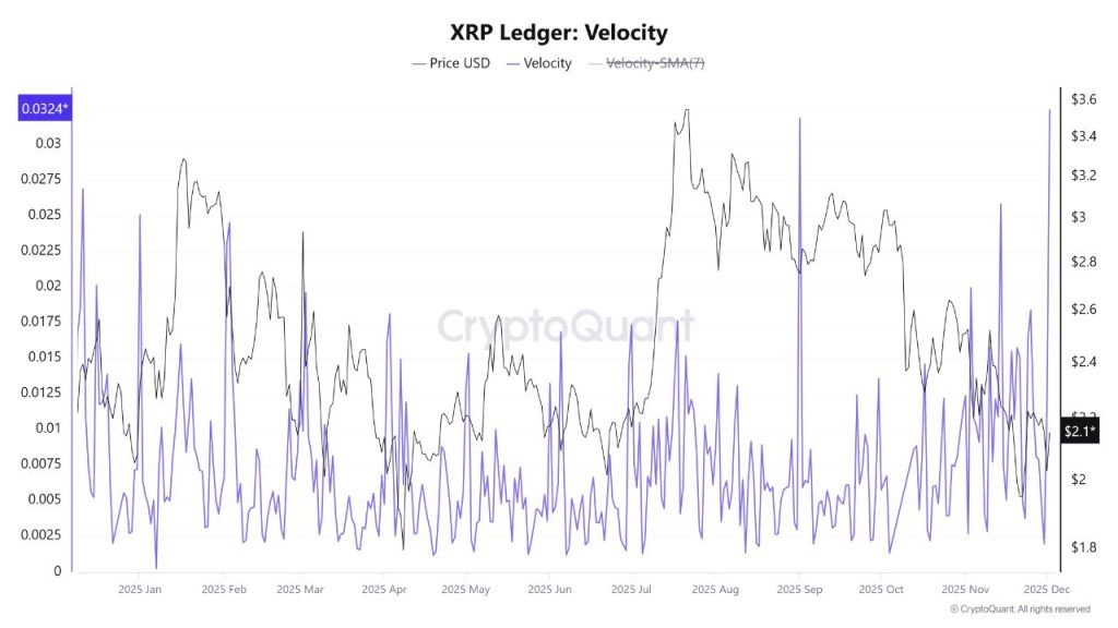 XRP Price Activity Supported by Whale Accumulation and ETF Inflows image from cryptonews.com