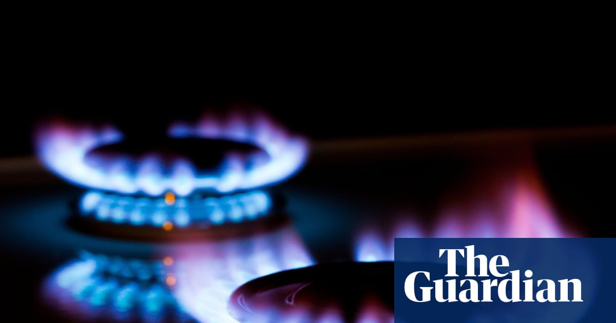 Study Reveals Indoor Air Pollution Risks from Cooking and Wood Burning in UK Homes image from theguardian.com