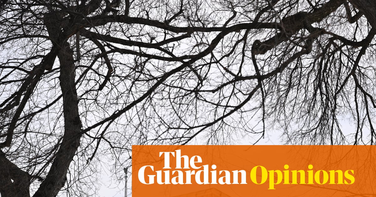 US Supreme Court Upholds 2023 TikTok Ban Amid First Amendment Concerns image from theguardian.com