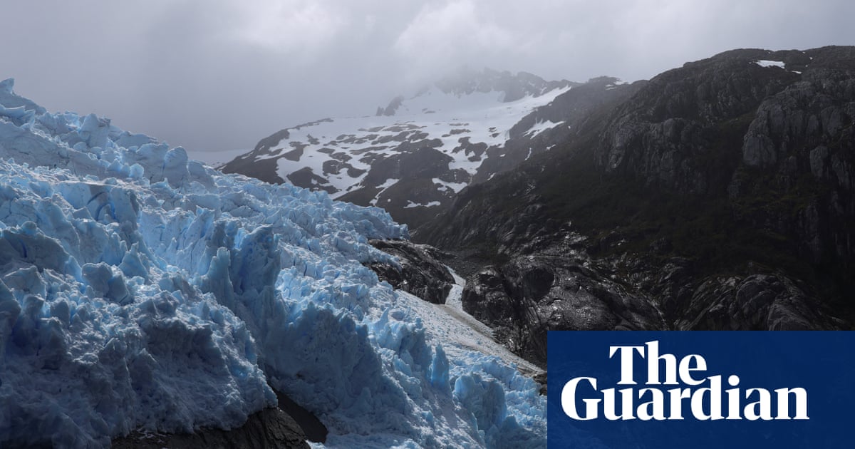 Chile to Establish Cape Froward National Park in Patagonia, Protecting 200,000 Hectares of Coastline and Forest image from theguardian.com