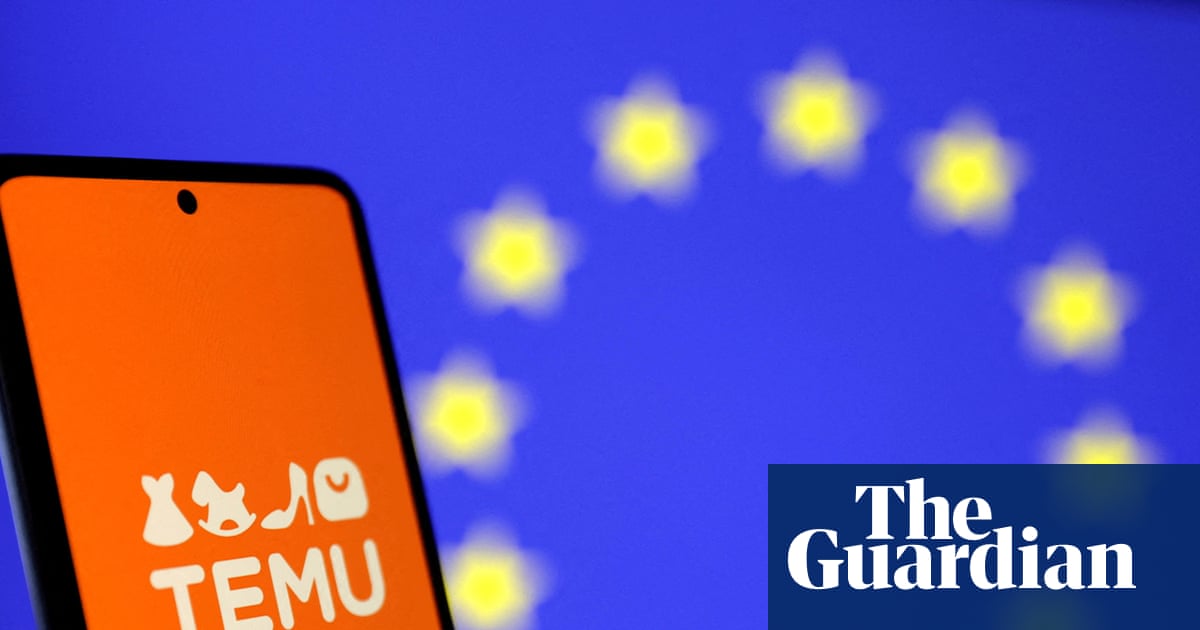 EU Regulators Conduct Unannounced Inspection at Temu's Dublin Headquarters Amid Subsidy Investigation image from theguardian.com