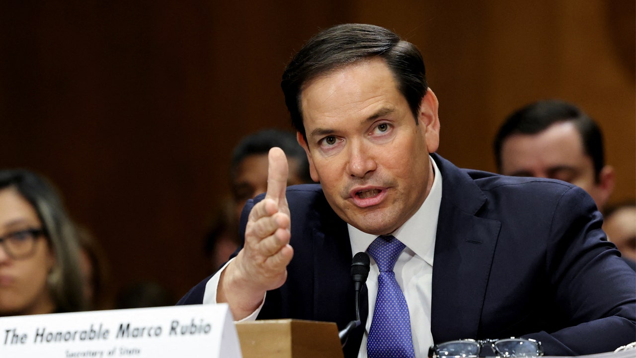 Rubio Defends USAID Closure, Highlights State Department's Improved Disaster Response and Global Health Initiatives image from foxnews.com
