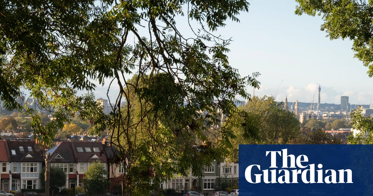 Stars Urge UK Government Not to Scrap Sport England's Role in Protecting Playing Fields image from theguardian.com