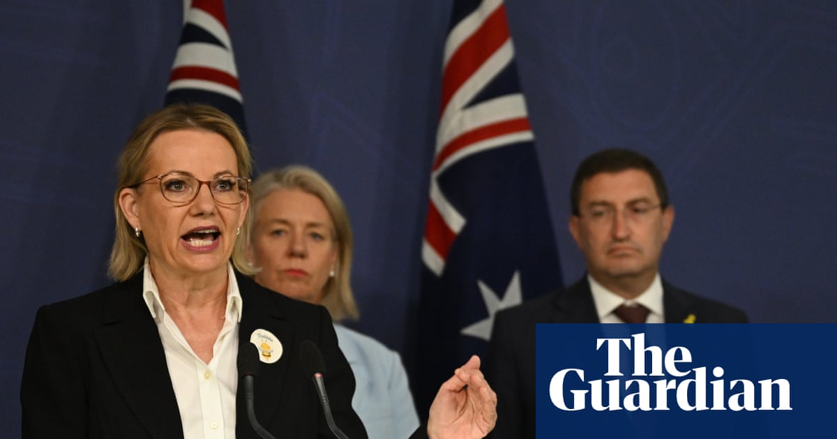 Coalition MPs Criticize Labor and Call for Federal Royal Commission Over Bondi Beach Terror Attack image from theguardian.com