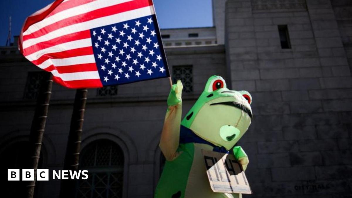 Inflatable Frog Costume Becomes Symbol of Protest and Political Messaging image from bbc.co.uk