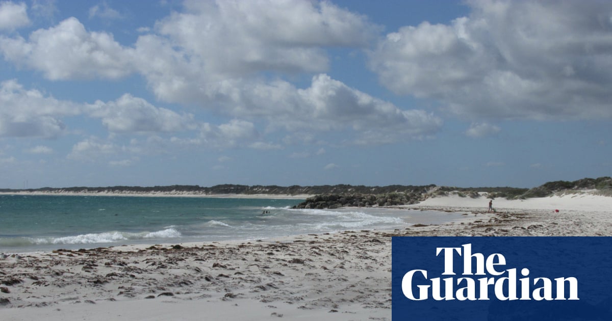 Searches continue for missing snorkeler in WA and others amid hazardous surf conditions in Australia image from theguardian.com