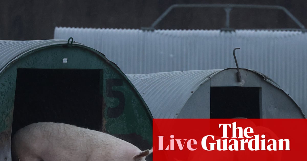 UK Government Unveils Ambitious Animal Welfare Strategy Including Ban on Pig Farrowing Crates and Trail Hunting image from theguardian.com