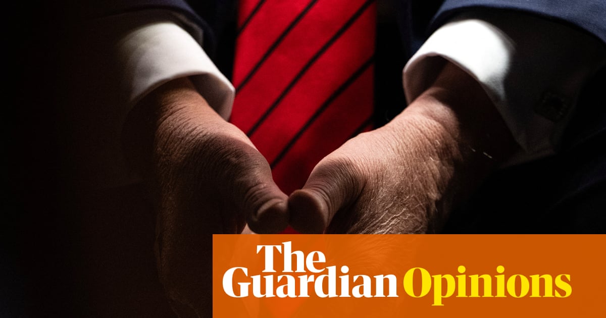 US National Security Strategy under Trump Targets Europe and Backs Far-Right Parties image from theguardian.com