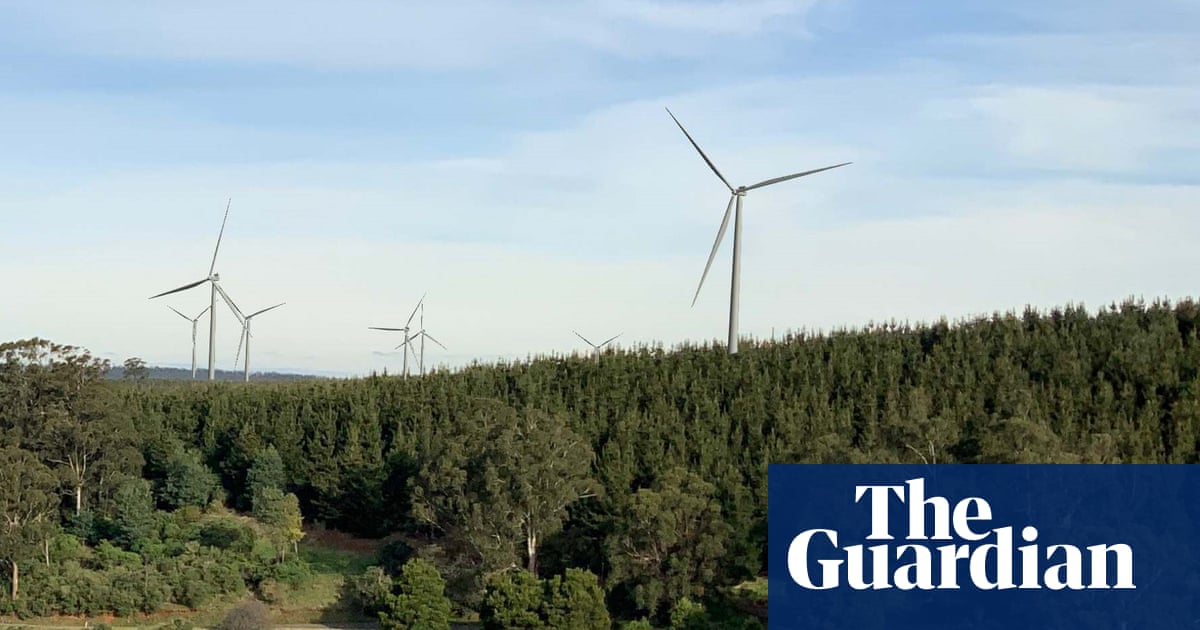 Victoria to Launch First Publicly Owned Windfarm Delburn in Latrobe Valley image from theguardian.com