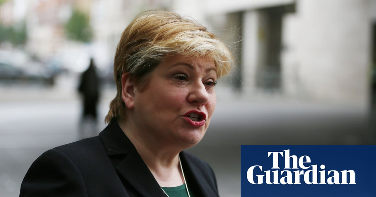 Government Criticized for Information Failures in Abd el-Fattah Case image from theguardian.com