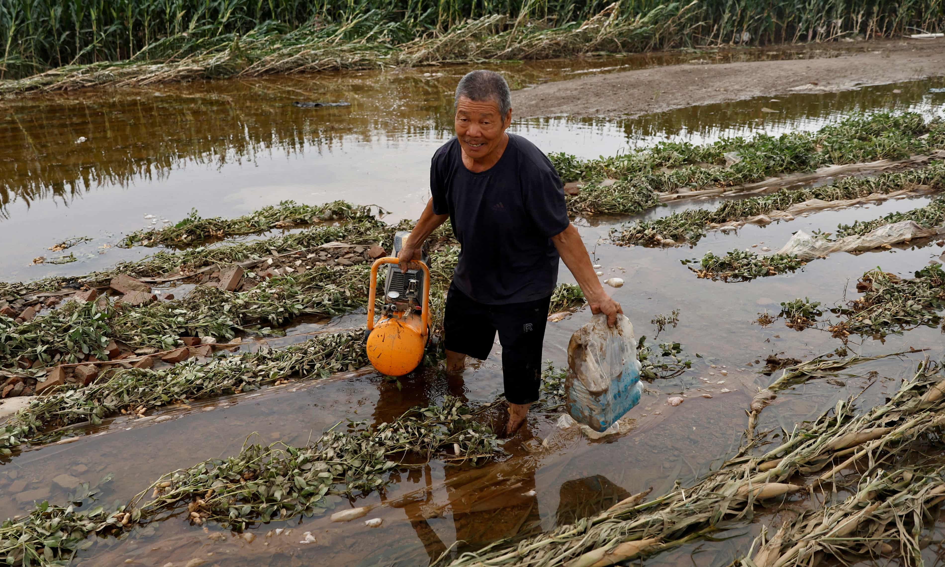Climate Breakdown Threatens Global Food Security with Significant Crop Yield Declines image from theguardian.com