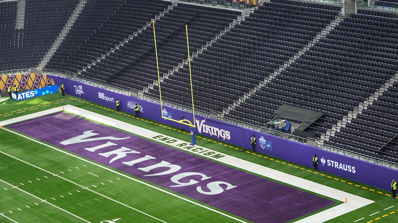 Vikings Team Plane Forced to Return After Mechanical Issue During Travel to Giants Game image from foxnews.com