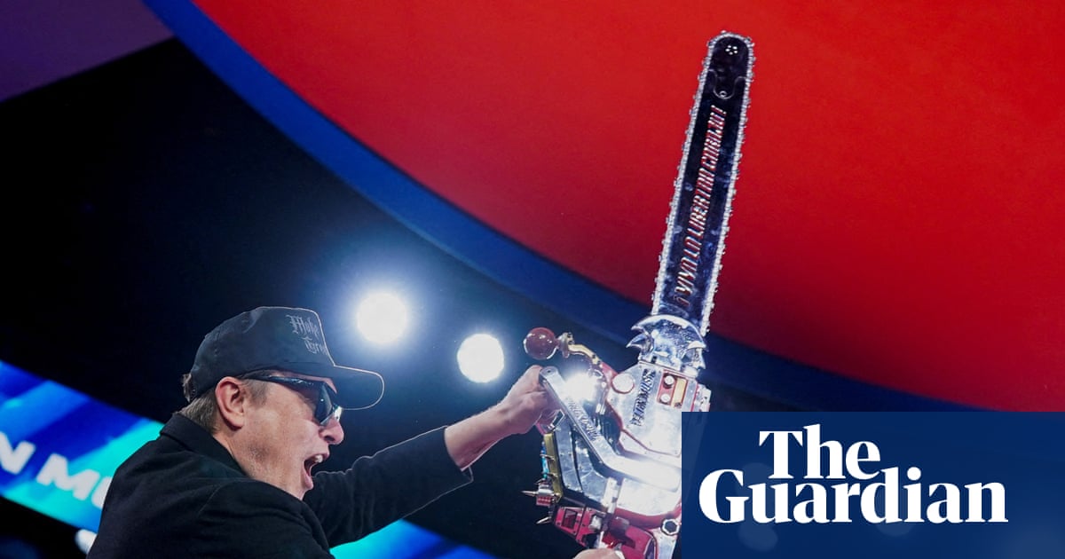 Elon Musk's Doge Initiative: Government Efficiency Drive Faces Criticism and Controversy image from theguardian.com