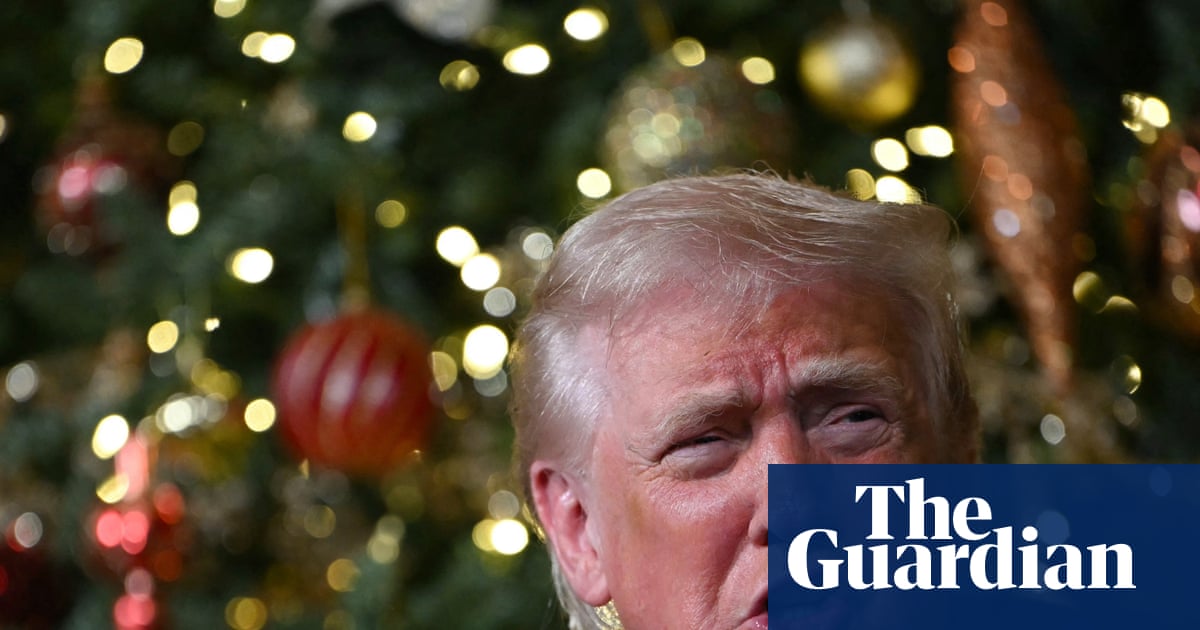 US Conducts Airstrikes Against Islamic State Militants in Northwest Nigeria image from theguardian.com