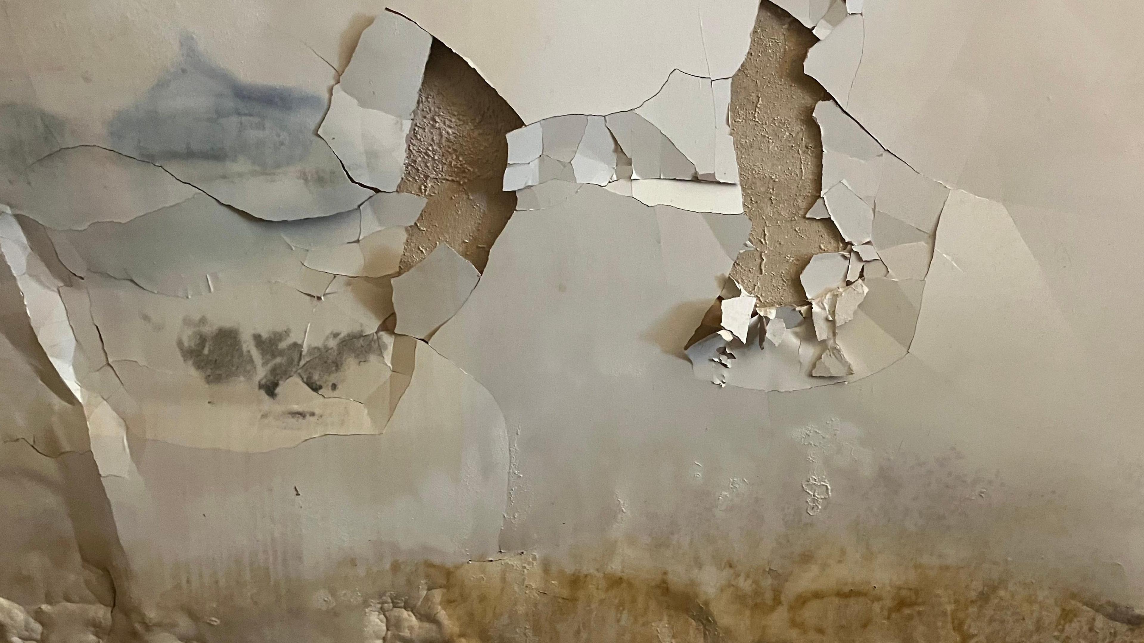 National Audit Office finds widespread damp and mould issues in government insulation schemes image from bbc.co.uk