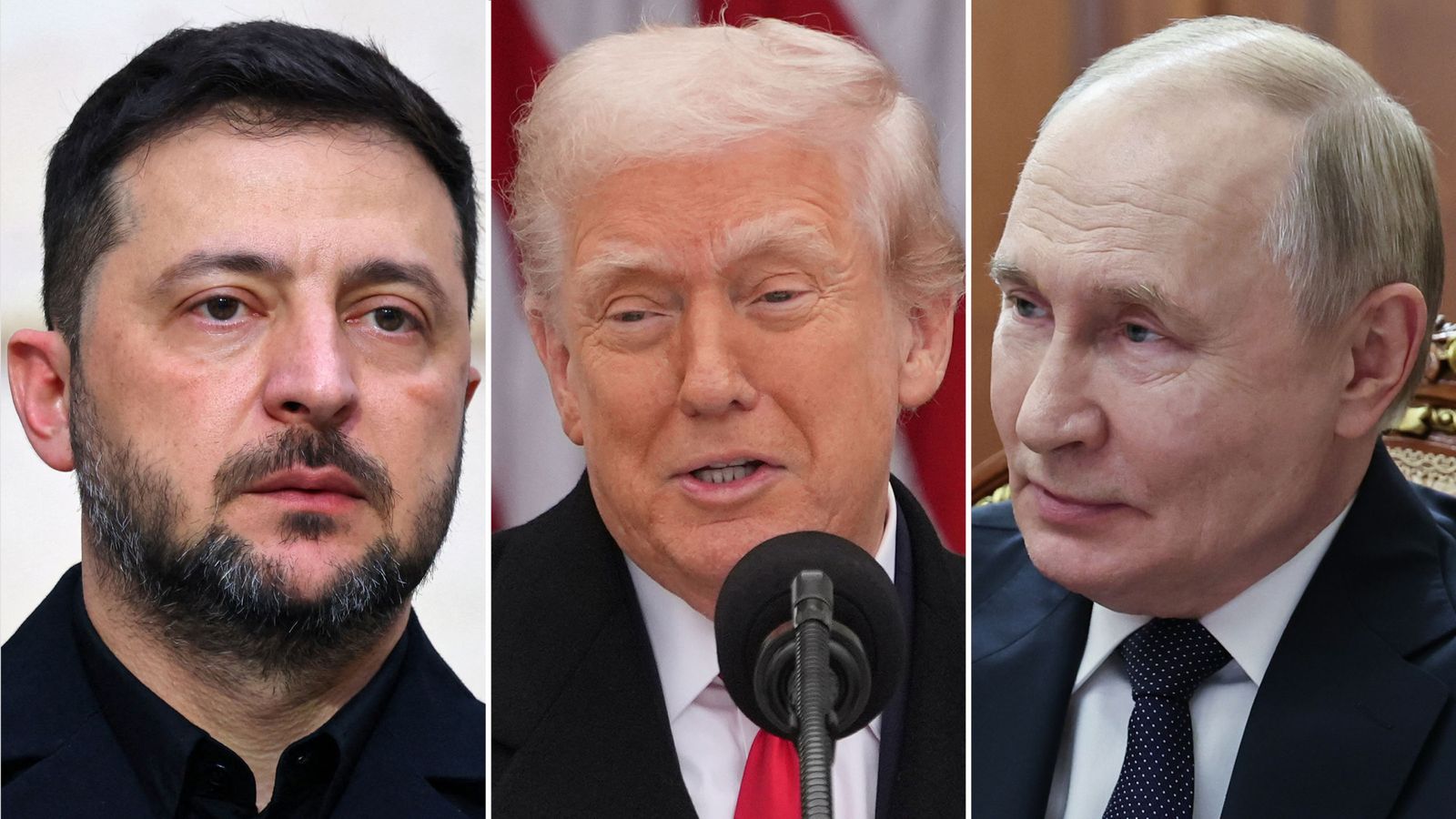 Zelenskyy to Meet Trump in Florida to Discuss New 20-Point Ukraine Peace Plan Amid Russian Stance image from news.sky.com