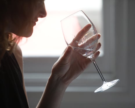 EU Court of Justice Rules Non-Alcoholic Drinks Cannot Be Labeled as Gin image from theguardian.com