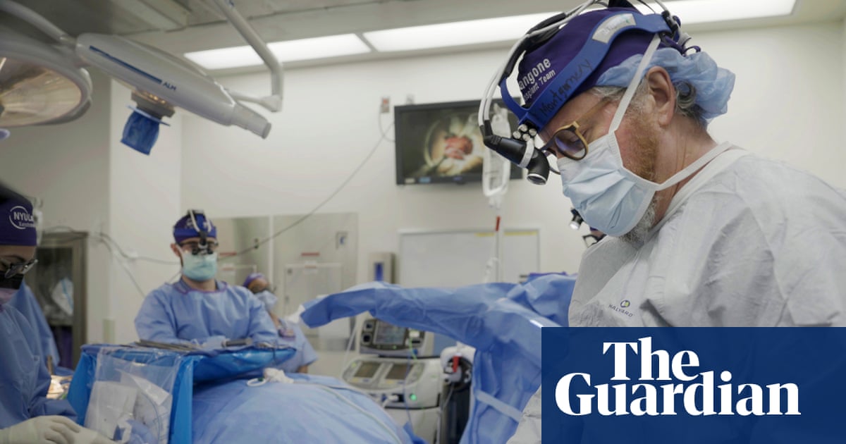 Pig Organ Transplants Could One Day Be Superior to Human Ones, Says Expert image from theguardian.com