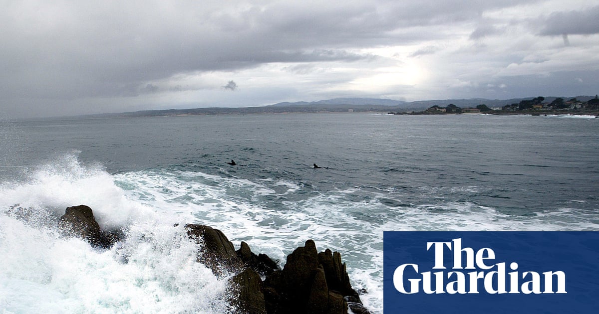 California Triathlete Erica Fox's Body Found After Disappearance Near Monterey image from theguardian.com