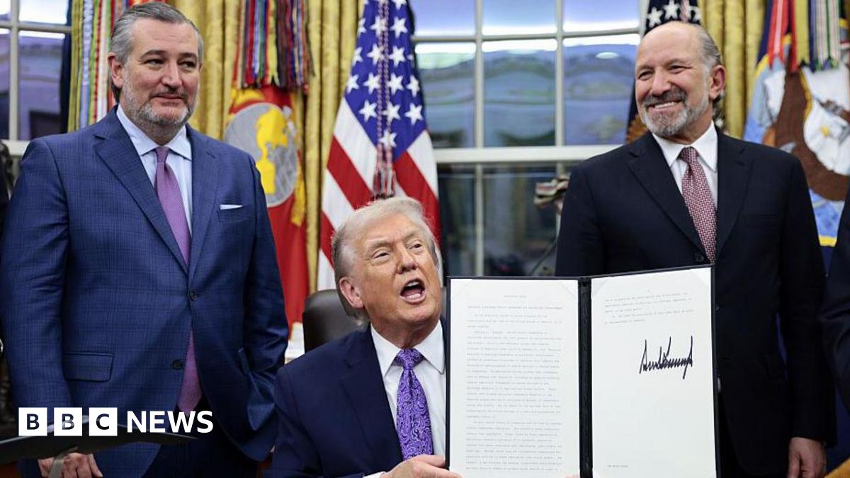 US Executive Order Centralizes AI Regulation, Sparking State-Level Criticism image from bbc.co.uk