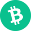 Bitcoin Cash Crypto Icon