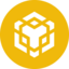 BNB Crypto Icon
