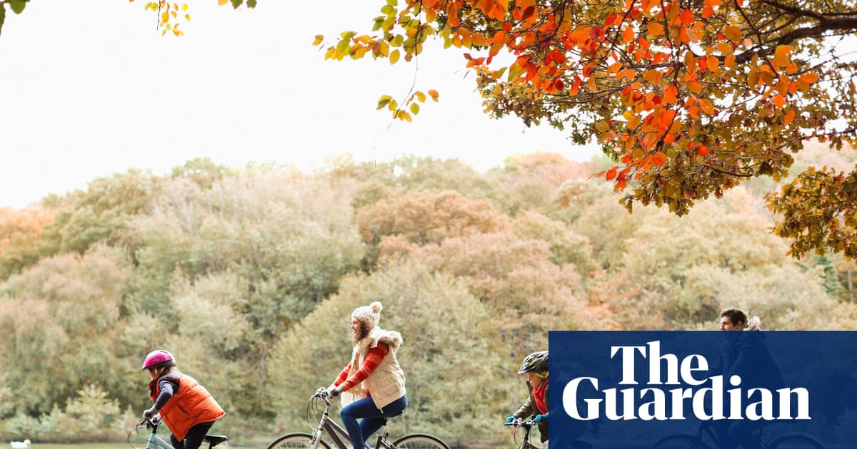 Cycling in Britain: Stagnation Despite Olympic Success and Urban Policy Efforts image from theguardian.com