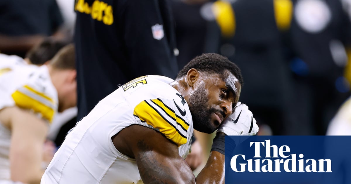 DK Metcalf Suspended Two Games for Altercation with Fan During Steelers-Lions Game image from theguardian.com