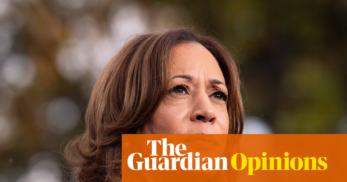 DNC Blocks Release of Critical 2024 Election Autopsy Report image from theguardian.com