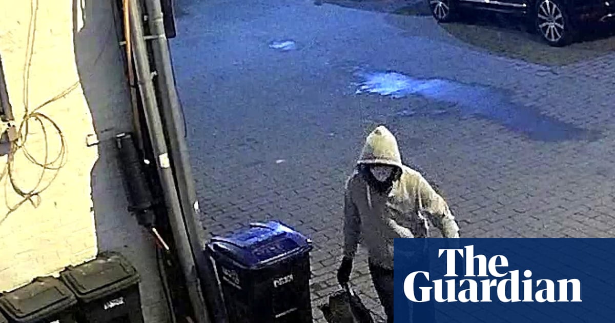 Brian Cole Jr. Faces Federal Hearing for 2021 DC Pipe Bombing Incident image from theguardian.com