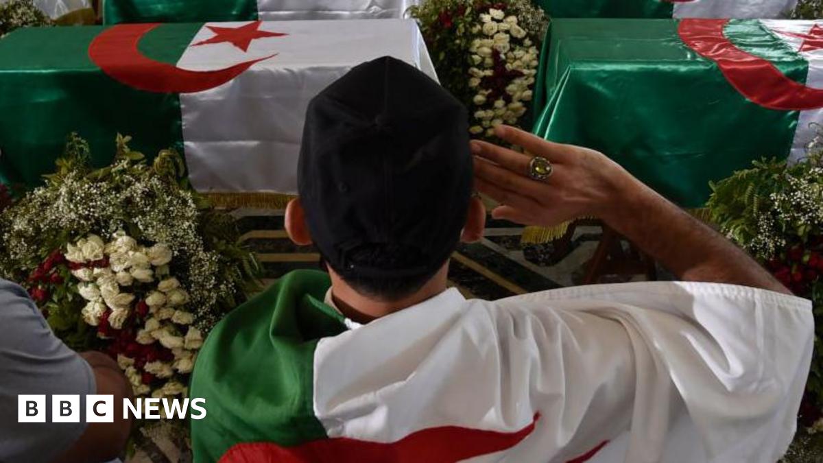 Algeria's Parliament Declares France's Colonisation a Crime, Demands Apology and Reparations image from bbc.co.uk